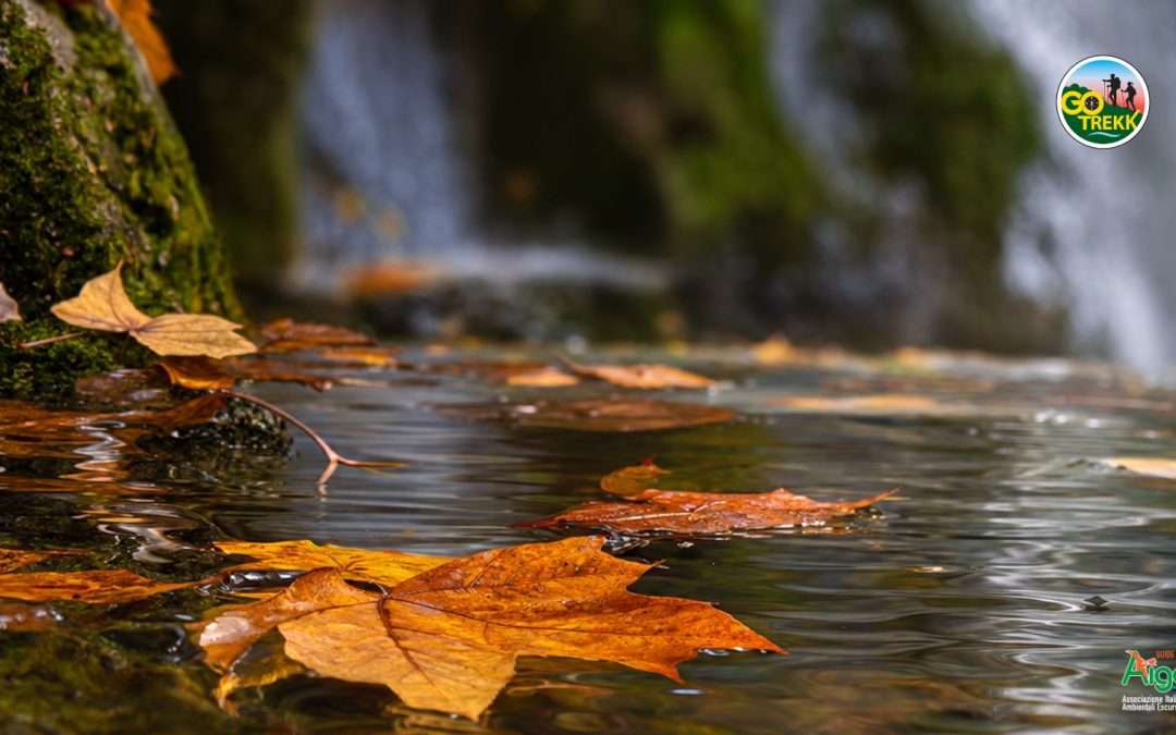 CASCATE D’AUTUNNO E GUSTI DELLA TRADIZIONE: Dai sentieri nel bosco ai profumi della tavola